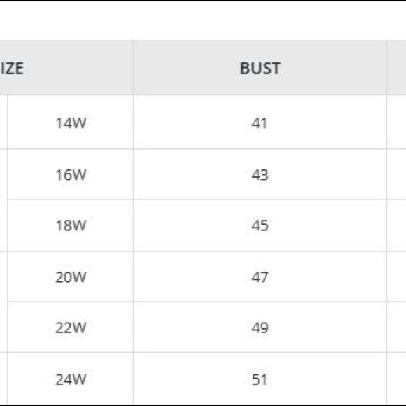 Investments II Woman TAYLOR Gold Label Button Up Shirt 20W White Work Top - Picture 14 of 15